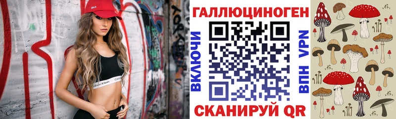 где можно купить наркотик  Озёры  Псилоцибиновые грибы Psilocybe 